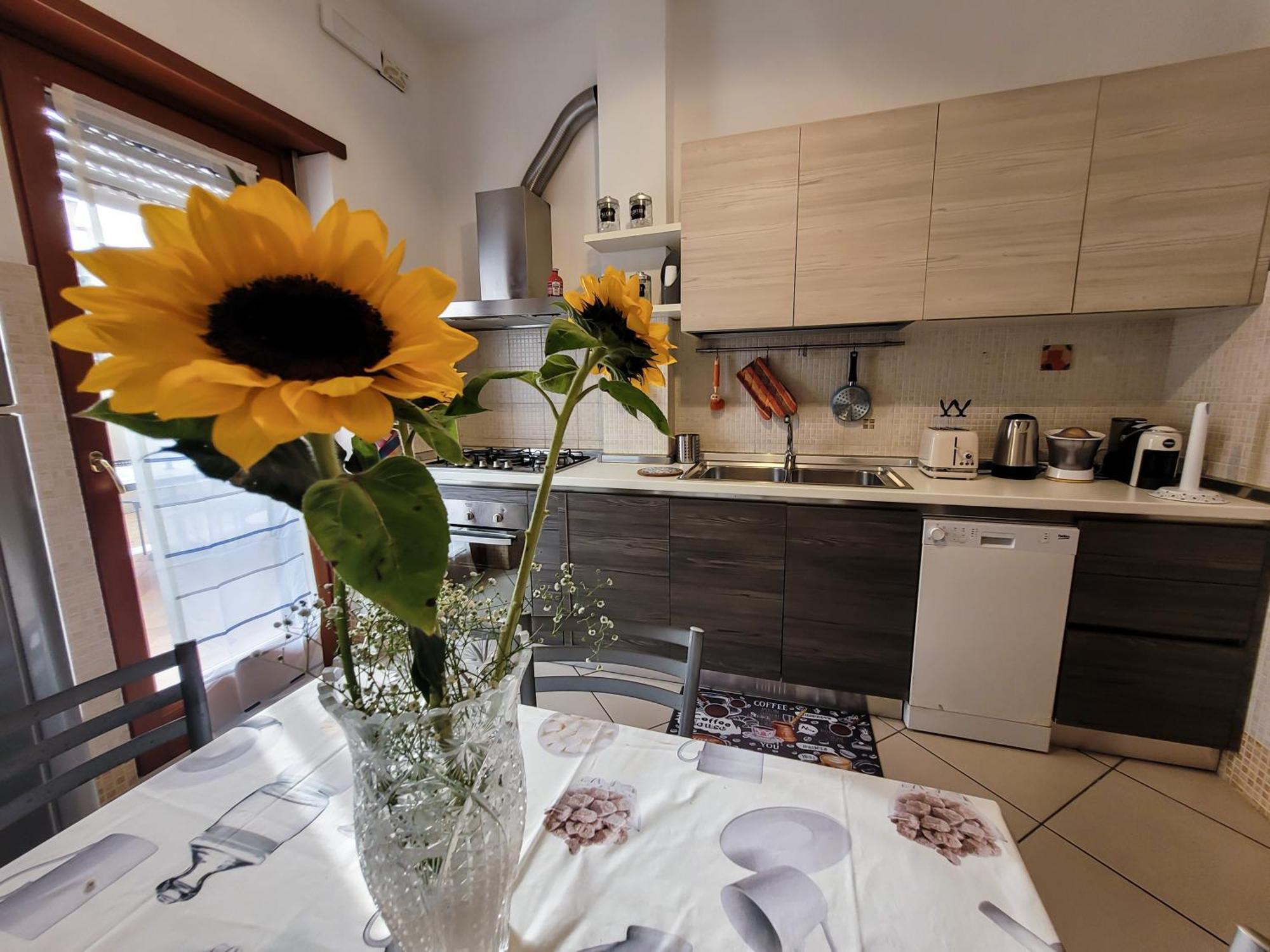 Appartamento Venus Marino Exteriér fotografie